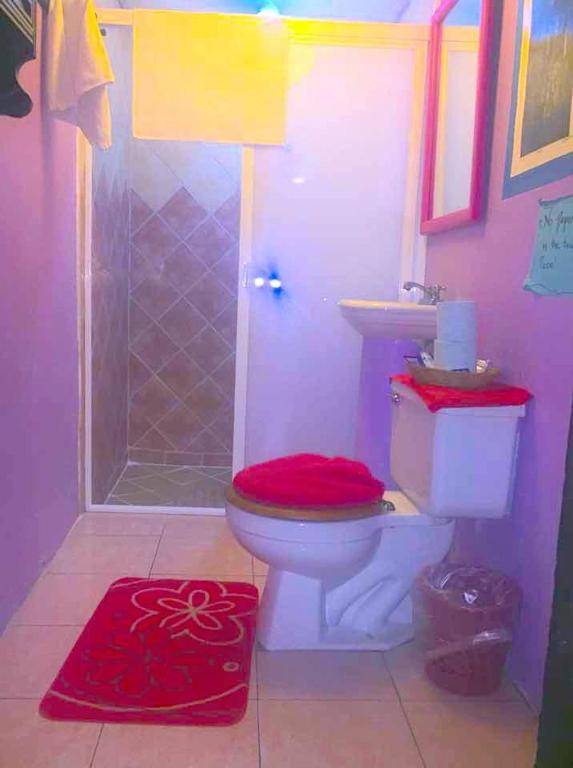 Cozy Big Bungalow Close To Downtown