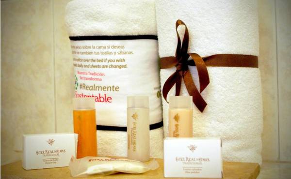 Hotel Real de Minas Tradicional