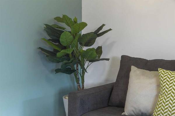 Suite lujo y comodidad 150MB Home Office Céntrico El Prado C12