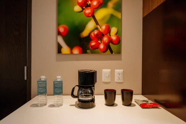 Hilton Garden Inn Puebla Angelopolis