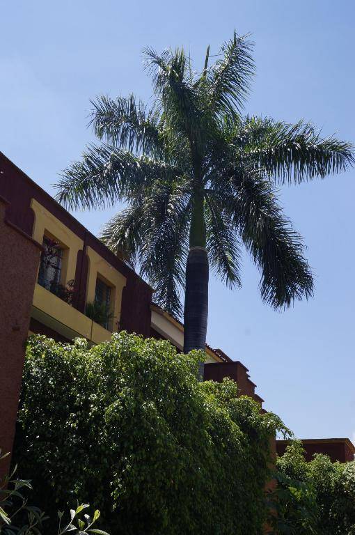Suites Parador Santo Domingo de G.