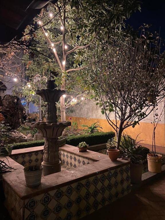 Glamping Amate - Hotel Burbuja Tlaxcala