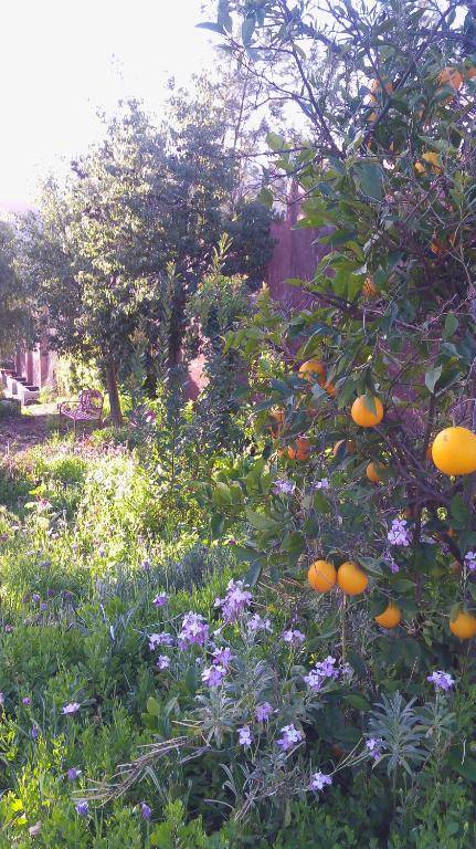 Quinta Maria en la Ruta del Vino
