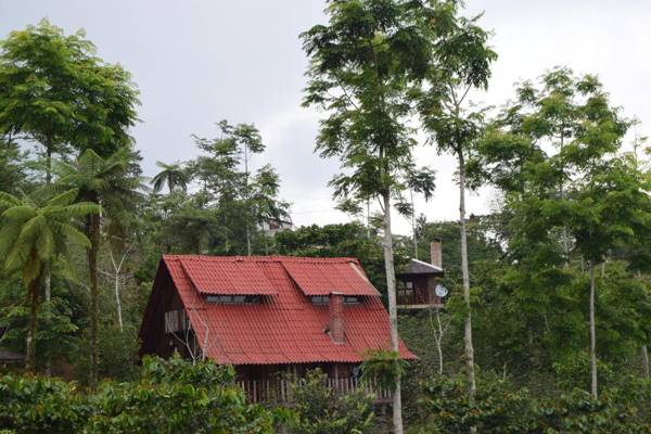 Cabañas los Cedros