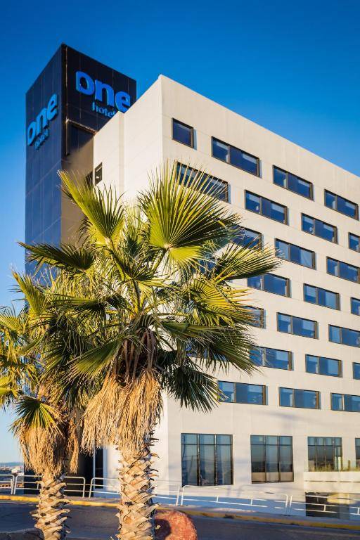 One Chihuahua Fashion Mall