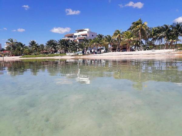 Palmeras de Mahahual Cabañas