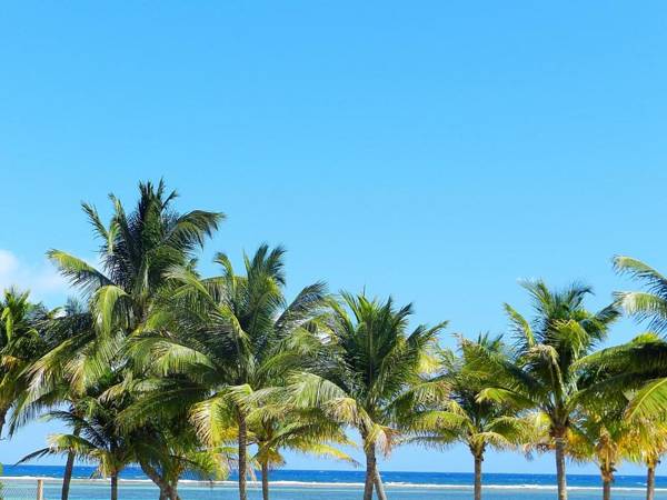 Palmeras de Mahahual Cabañas