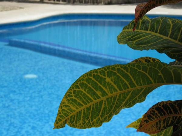 Hotel & Suites Oasis Bacalar