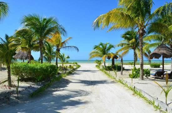 Blue Holbox