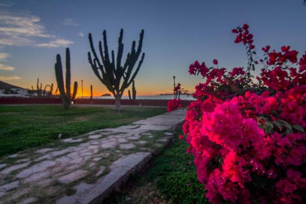 Hotel Playa de Cortes