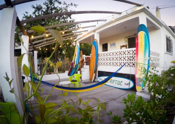 Surf Hostel Cabo "The Riptide"