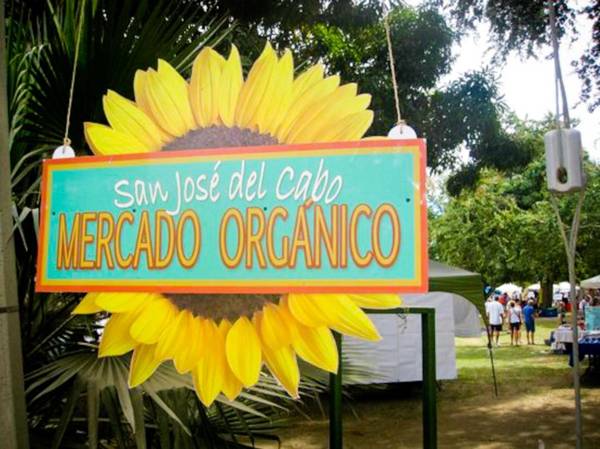 Surf Hostel Cabo "The Riptide"