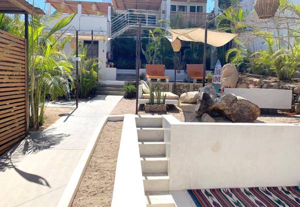 Perro Surfero-Outsite Todos Santos