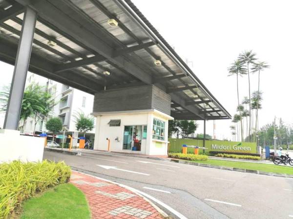 Midori Green 0816 Tmn Mount Austin @JB