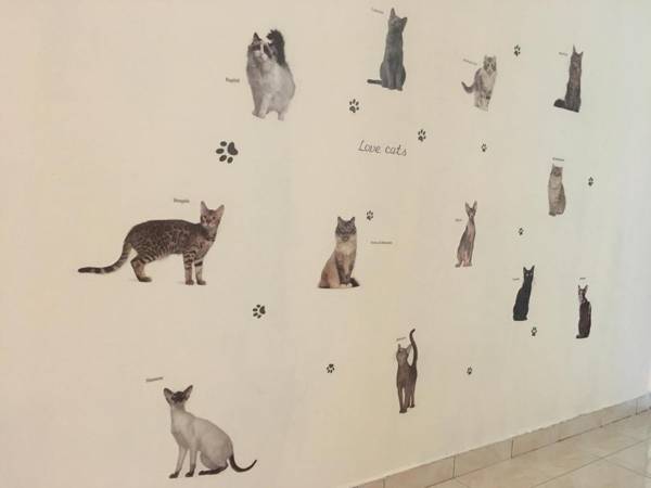 Tambun Meow Cottage @ Lost World (2 to 6 pax)