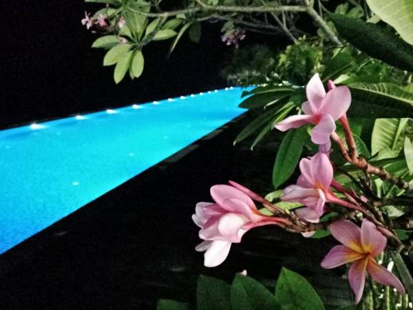 Thermospace Silverscape B-39-06