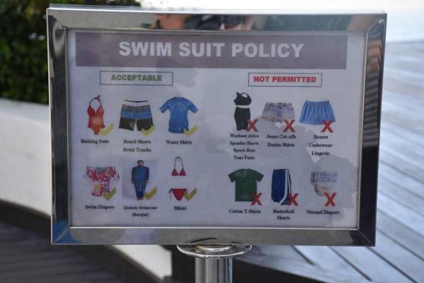 Silverscape Family Studio Suite