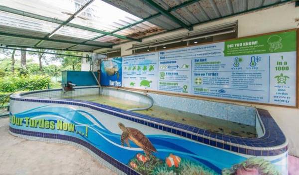 Port Dickson 7pax 2BR Glory Beach Resort Seaview