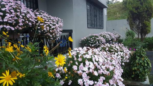 KPW at Royal Lily Apartment