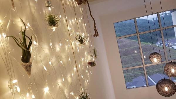 Penthouse Secret Garden de Cameron Night Market