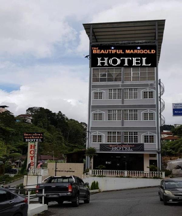 THE BEAUTIFUL MARIGOLD HOTEL