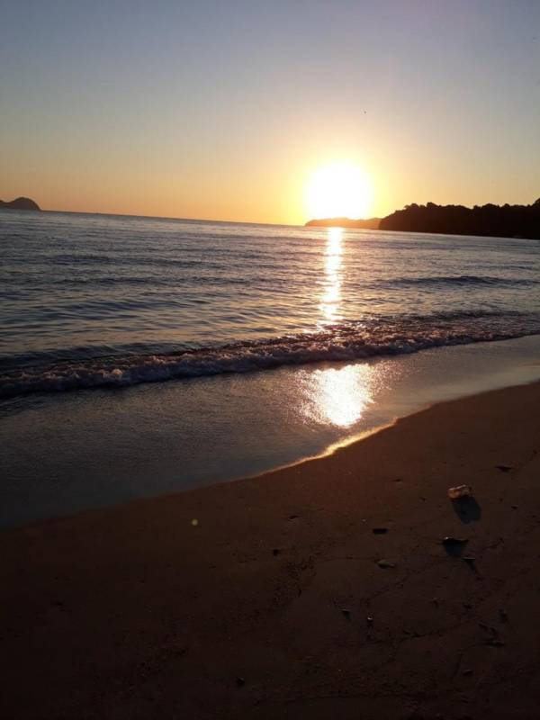 Coastside Homestay. Feel home while you're away. 