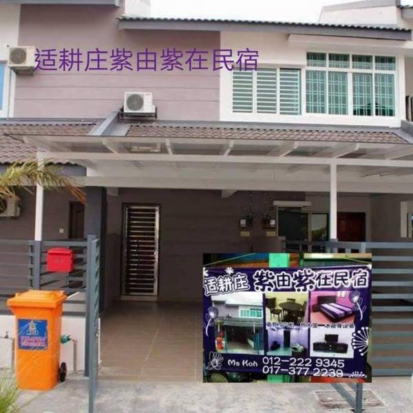 purple leisure homestay紫由紫在民宿