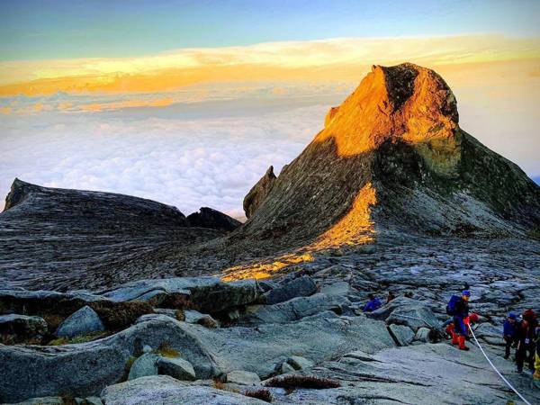 Flypod . Kinabalu Mt Lodge