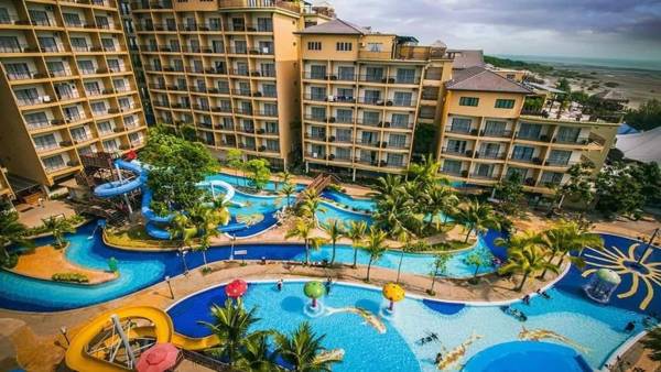 Gold Coast Morib Studio Goodday