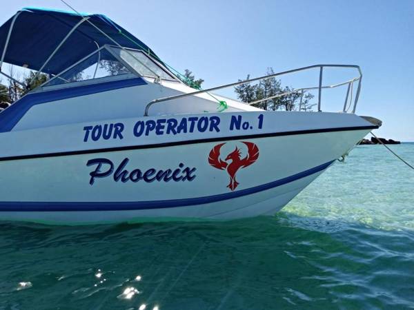 Dolphin Dhow Beach Safaris