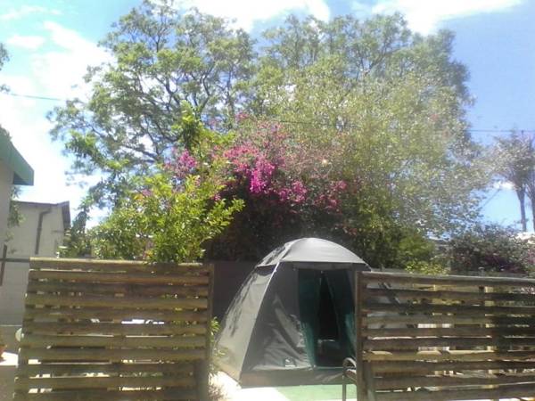 Xenia Bed & Breakfast