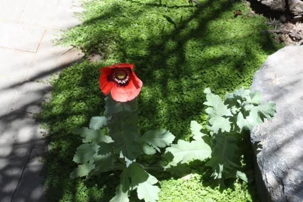 Namibia Nights Accommodation