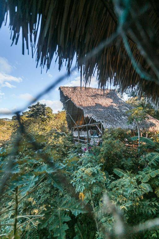 Hostel Clandestino Maderas