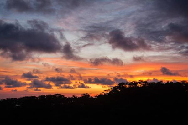 Hostel Clandestino Maderas