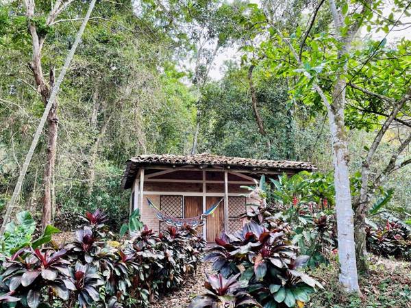 Jungle Cabins El Escondido