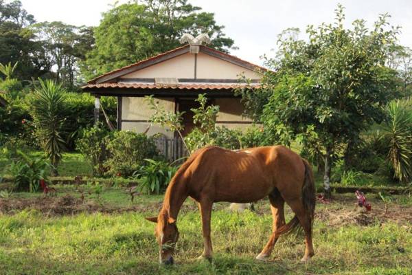 Finca Lindos Ojos