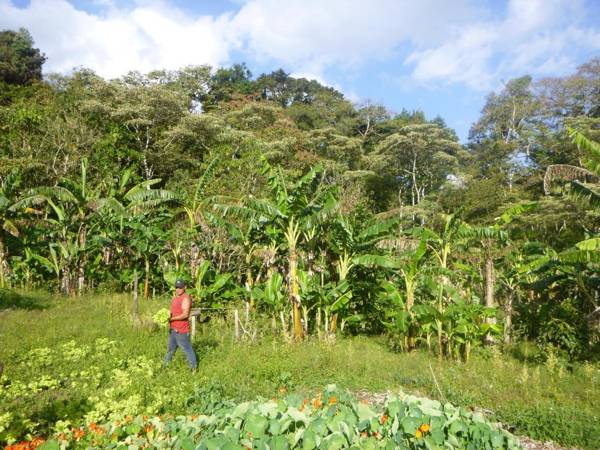 Finca Lindos Ojos