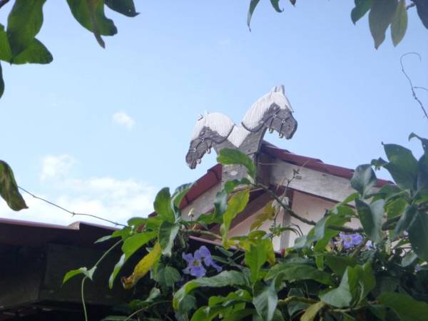 Finca Lindos Ojos