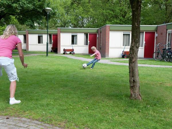 Comfortable bungalow with dishwasher in De Maasduinen area