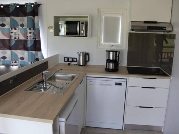 Modern 6 person chalet in Frisian nature