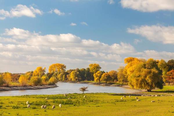 Fletcher Resort-Hotel Zutphen