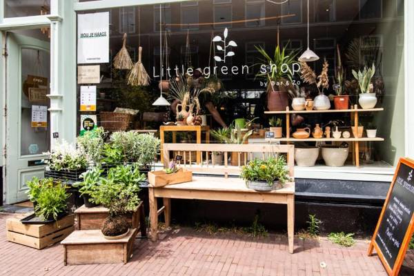 YAYS The Hague Willemspark