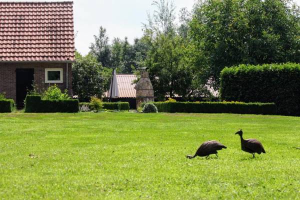 B&B Ruurlo Belle Rose