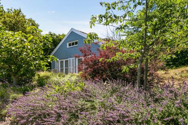 Holiday home Loevesteijn - Ouddorp garden with terrace 1000 meters from the beach and dunes - not for companies