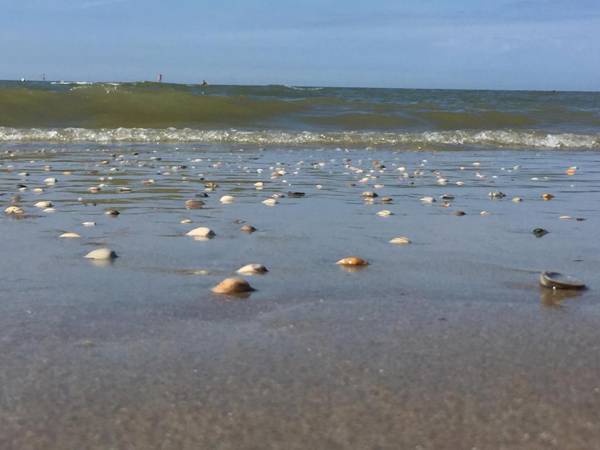 SEA YOU Hotel Noordwijk