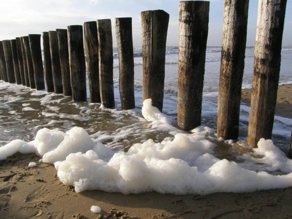 Zonneweelde Vakantie aan Zee