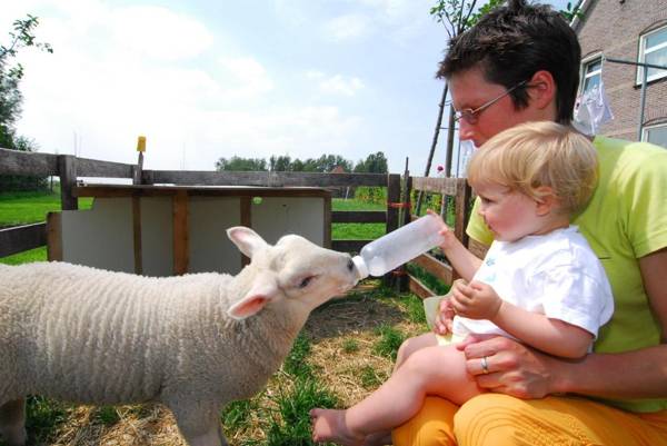 Farm Overleekerhoeve