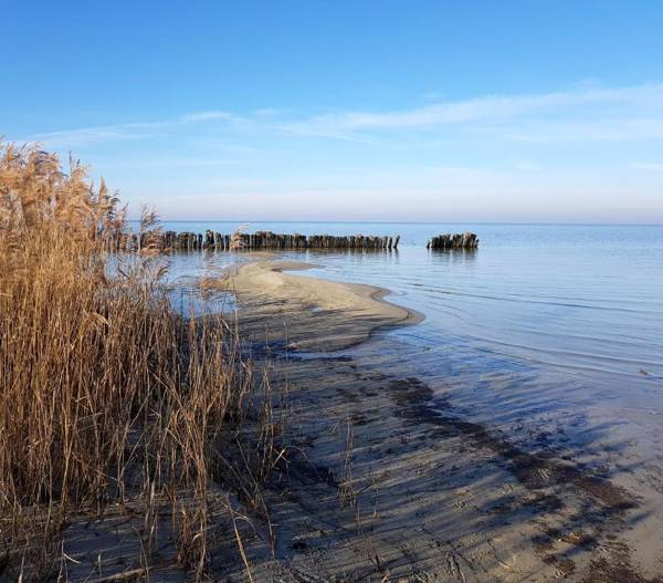 Atelier B&B 'Sinnestriel'