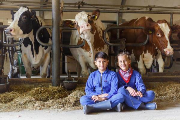Landrijk De Reesprong boerderij