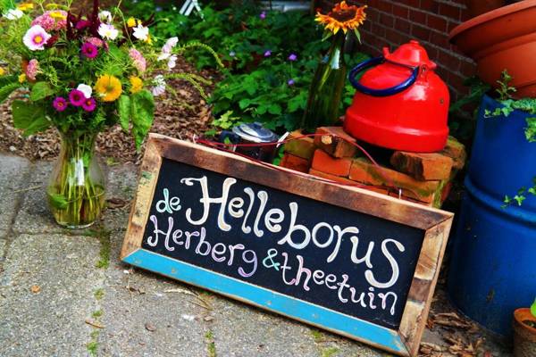 Eco-Camping De Helleborus Yurt Bell & Safari tent Pipo Caravans Dorms and Units